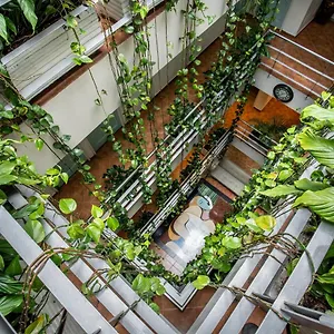 3* Hotel Picasso